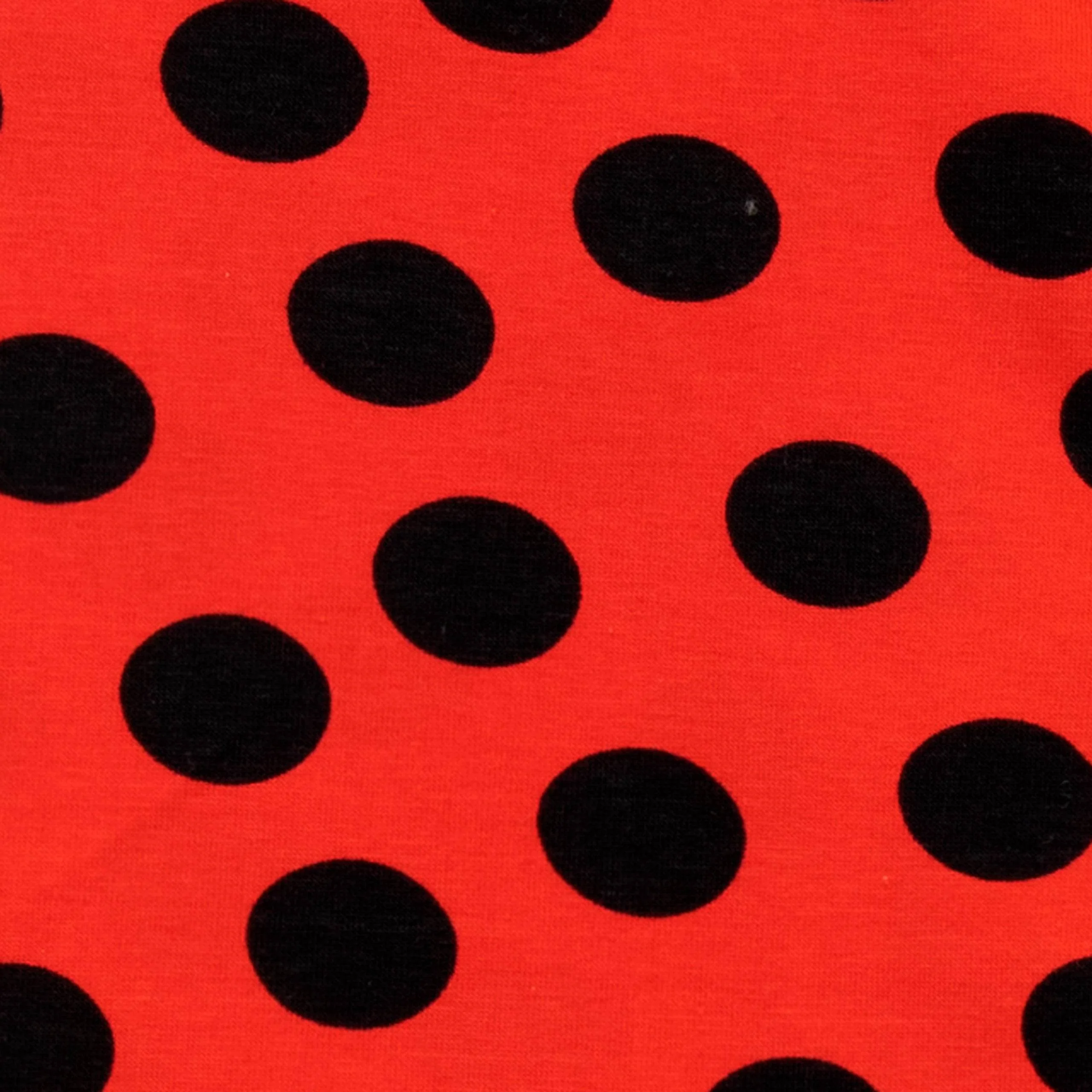 Harry Bear Ladybug Pyjamas - Image 7
