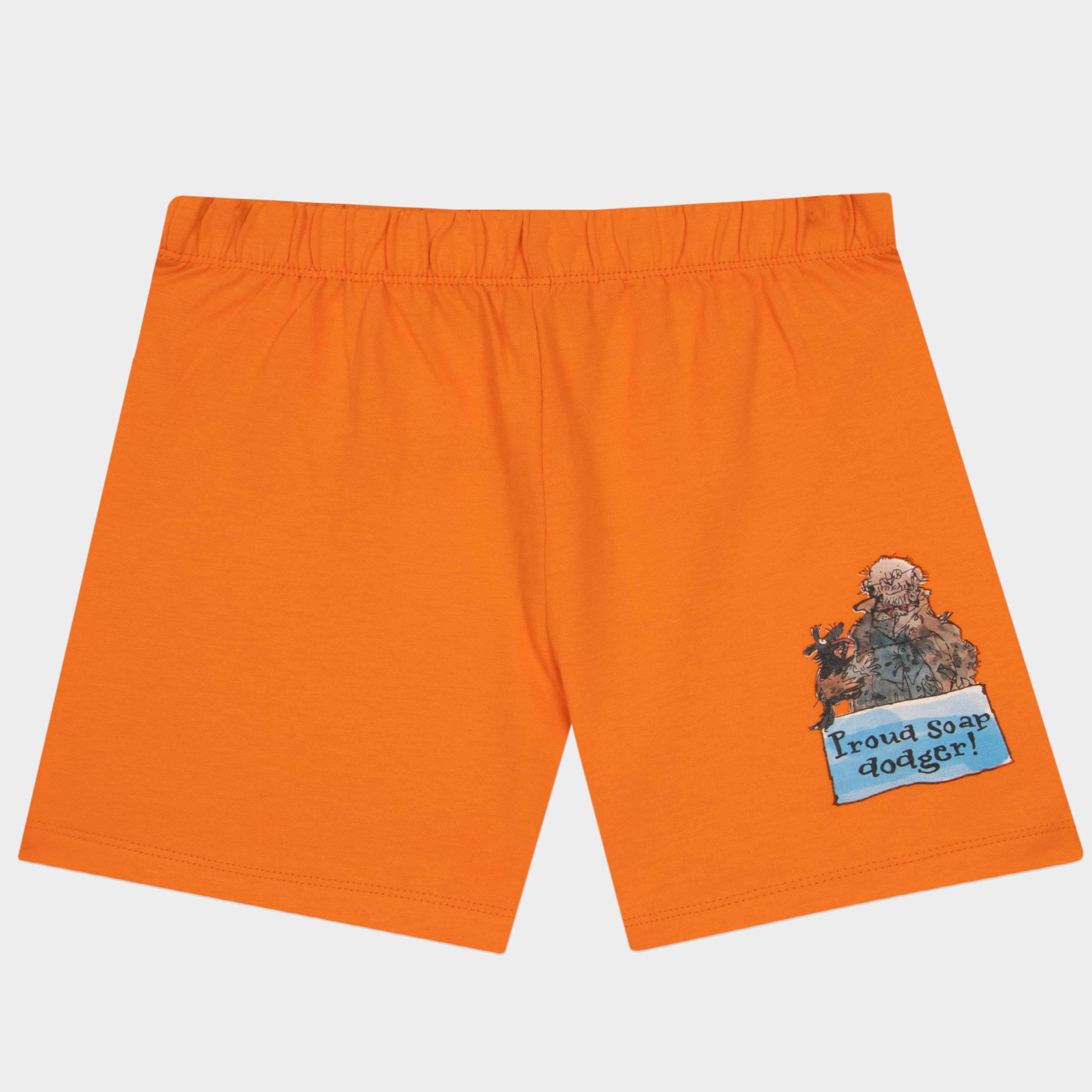 Mr Stink Boys Short Pyjamas - Image 8