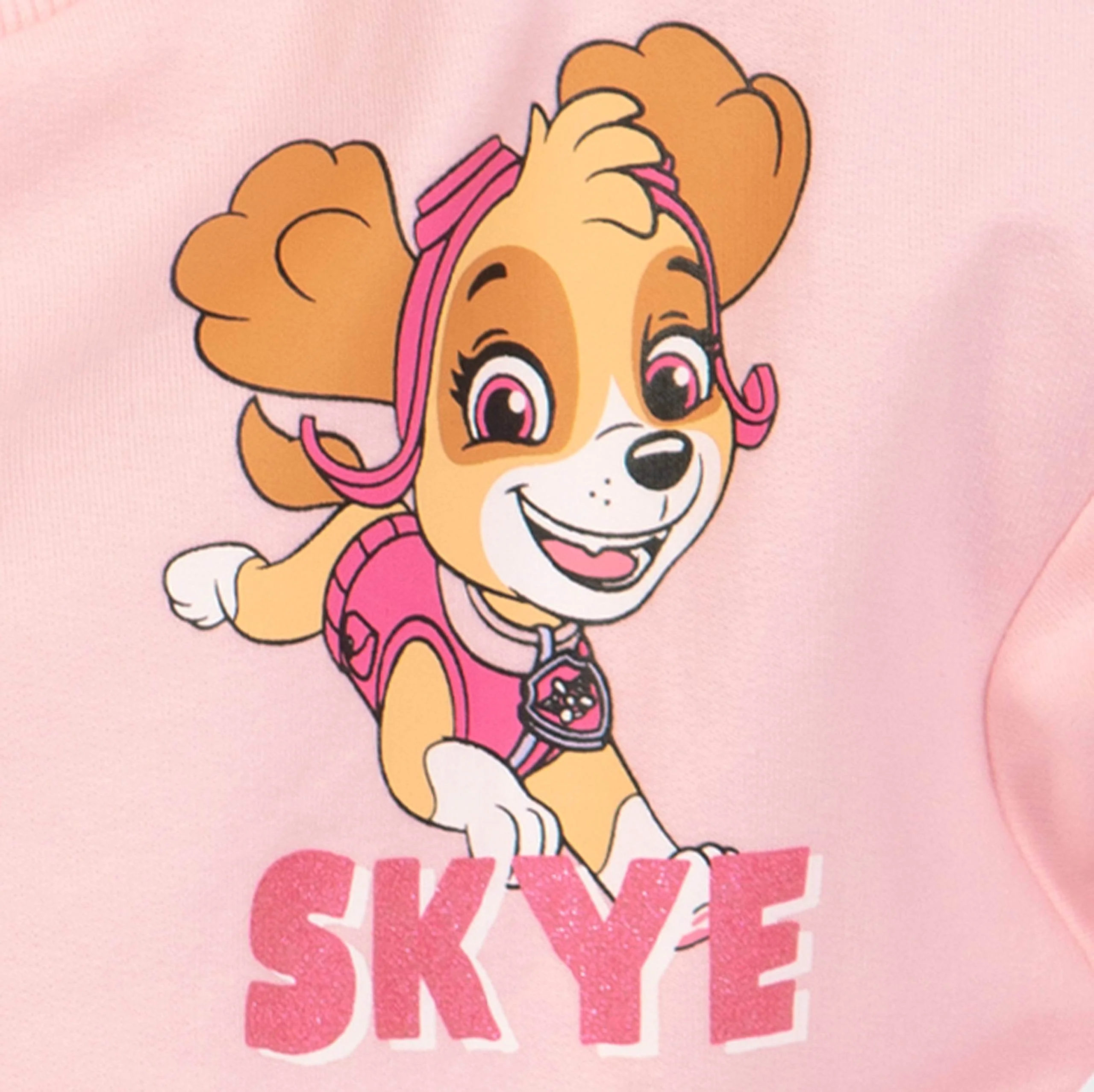 PAW Patrol Skye Sweatshirt - Image 3